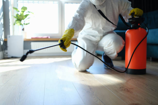 Reliable Odor Removal contractor in West New York, NJ by Trauma Clean Pros